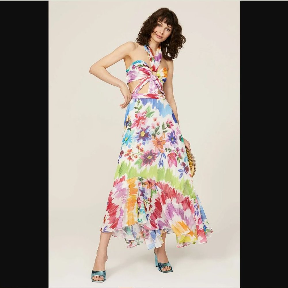 PATBO Women's Bloom Cutout Maxi Dress Size 6 in Multicolor